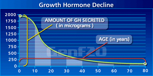 年齢による成長ホルモンの分泌