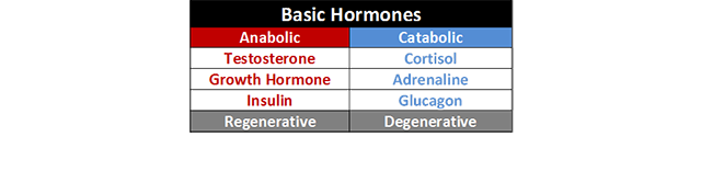 アナボリックホルモンとカタボリックホルモン